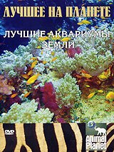 О жизни и просветлении. Принципы буддизма с Далай-Ламой