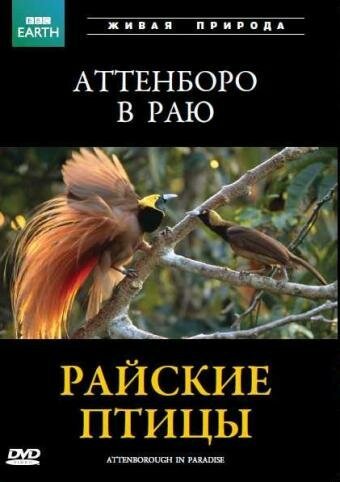 Тарзан в кино. Часть 1: Джонни Вайсмюллер