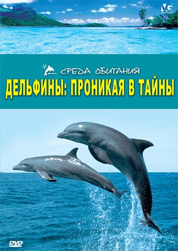 Стивен Джеррард: Один год из моей жизни