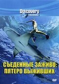 Animal Planet: Жемчужины дикой природы Австралии