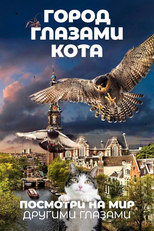 Город кошек