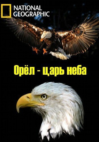 Фильм-прогулка «Утро доброе! Счастья! Здоровья! Любви! И всего доброго!»