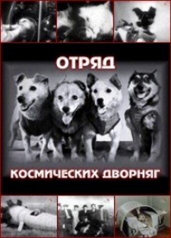 Бог на нашей стороне: Джордж У. Буш и подъём религиозного права в Америке