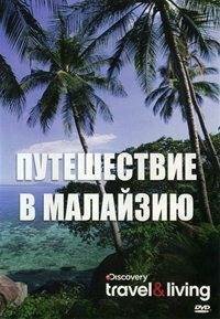 Стэнли Донен: Не дай себя остановить