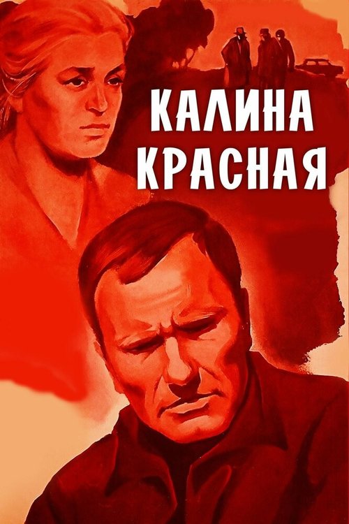 Мастер кунг-фу