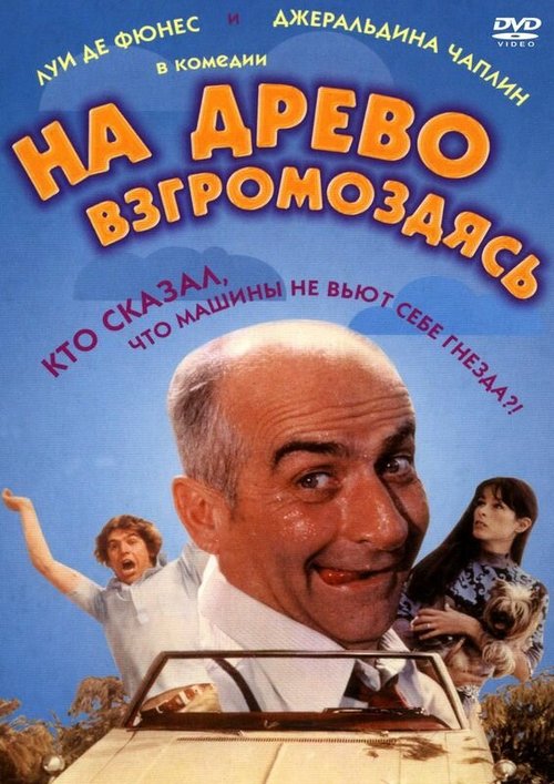 Банни О'Хэйр