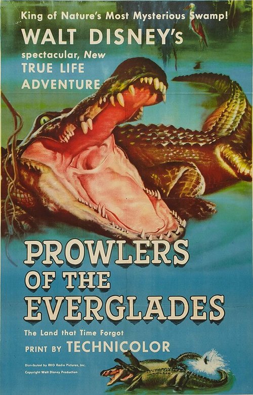 Prowlers of the Everglades